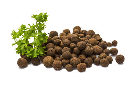 Black pepper seeds with parsleyの写真素材