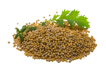 Mustard seeds with herbs isolatedの写真素材