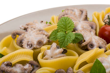 Lumaconi with octopus, cheese and herbsの写真素材