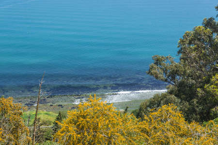 Mediterranean sea coast in Tunisiaの写真素材