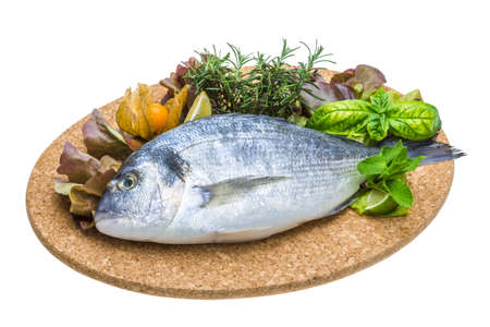 Fresh raw doradaの写真素材