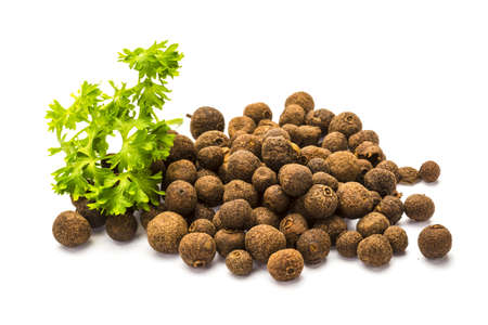 Black pepper seeds with parsleyの写真素材