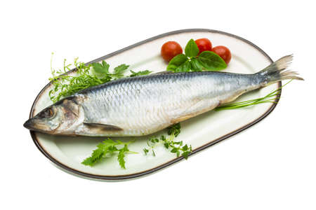 Marinated herring with herbsの写真素材