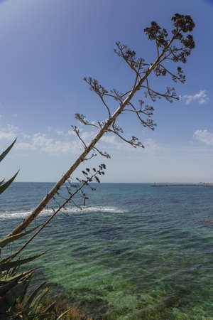 Mediterranean sea coast in Tunisia