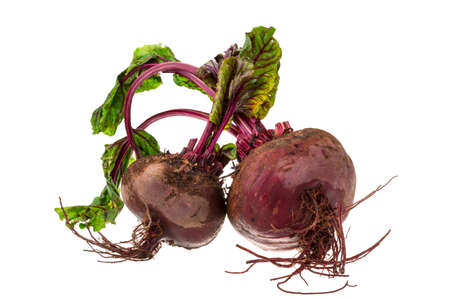 Raw beet with leaf isolatedの写真素材