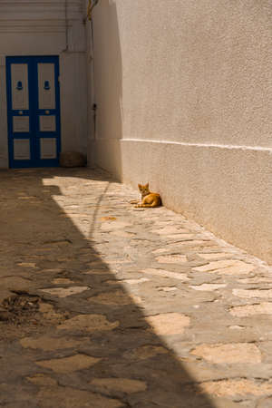 Tunisian architecture