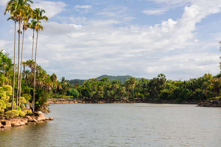 Nong Nooch tropical garden in Thailandの写真素材