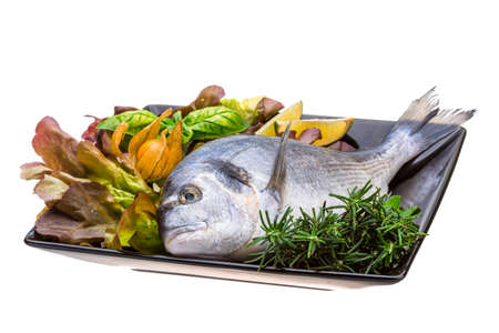 Fresh raw doradaの写真素材