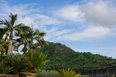 Nong Nooch tropical garden in Thailandの写真素材