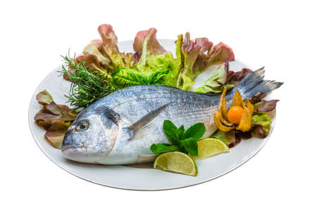 Fresh raw doradaの写真素材