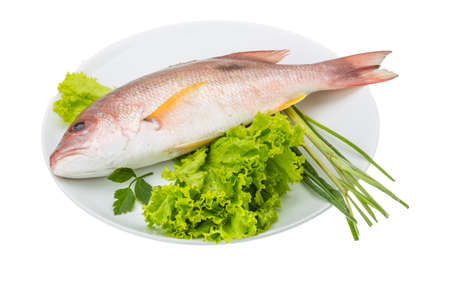 Raw red snapper with salad leaves