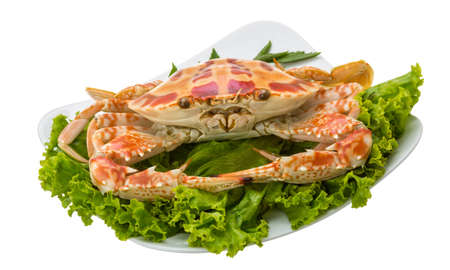 Boiled crab with salad leavesの写真素材