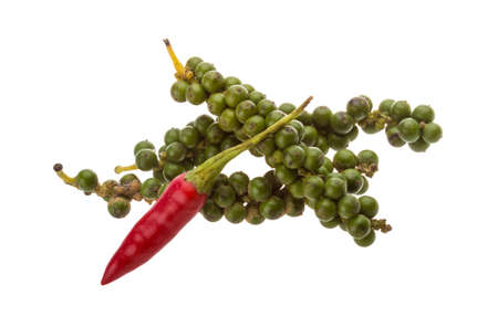 Most expensive campot pepper isolatedの写真素材