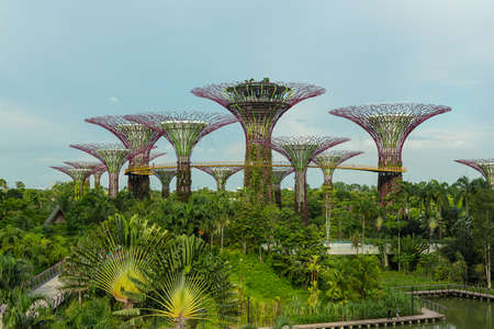 SINGAPORE - MAY 12: Gardens by the Bay on Mar 12, 2014 in Singapore. Gardens by the Bay was crowned World Building of the Year at the World Architecture Festival 2012のeditorial素材