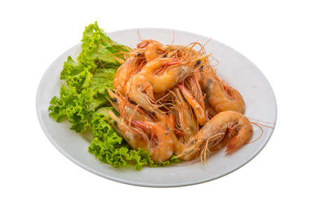Big tiger shrimps isolated on whiteの写真素材