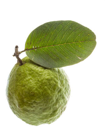 Fresh ripe green guava isolatedの写真素材