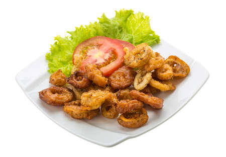 Fried squid rings with tomato and salad leavesの写真素材