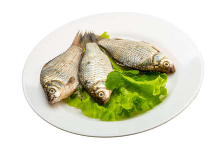 Raw Crucian fish - ready for cookingの写真素材