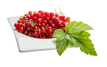 Red currant with leaf in the bowl