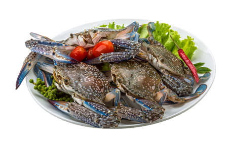 Raw blue crab - ready to cookの写真素材