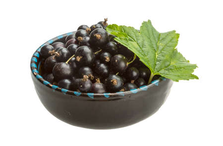 Black currant with green leafの写真素材