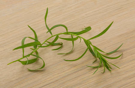 Tarragon leaves on the deskの写真素材
