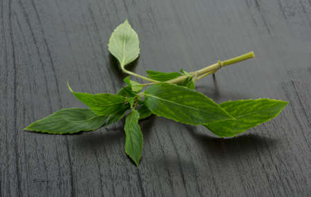 Bergamot leaves on the boardの写真素材