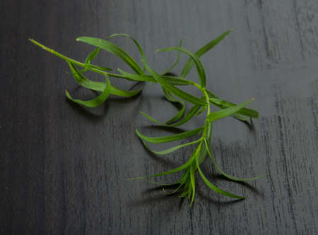 Tarragon leaves on the deskの写真素材