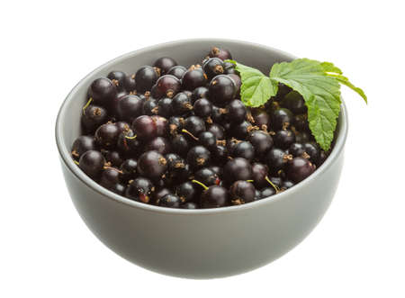 Black currant with green leafの写真素材