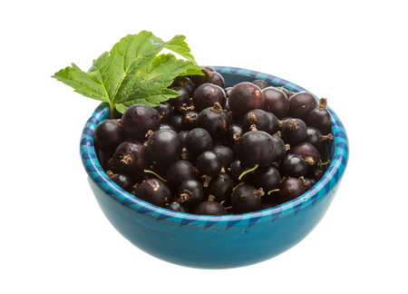 Black currant with green leafの写真素材