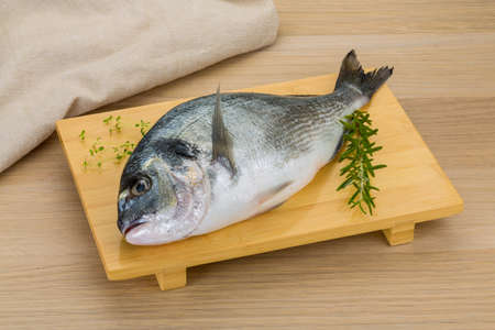 Raw dorado - fish ready for cooking