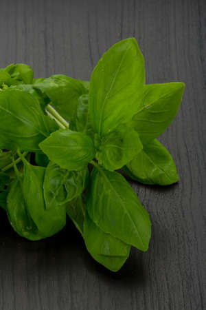 Basil leaves on the boardの写真素材