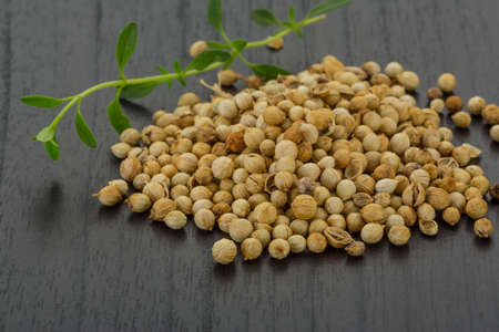 Coriander seeds on the deskの写真素材