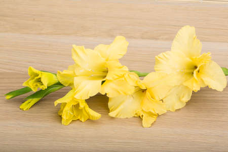 Yellow gladiolus flower on the deskの写真素材