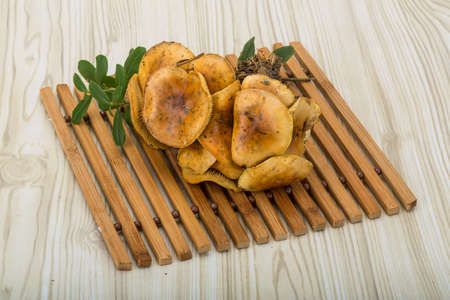 Armillaria - wild mushroom in the wooden backgroundの写真素材