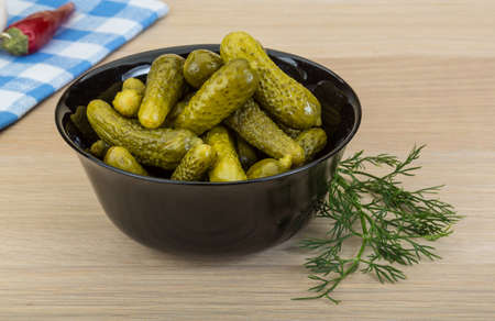 Pickled small cucumber with dill and spicesの写真素材