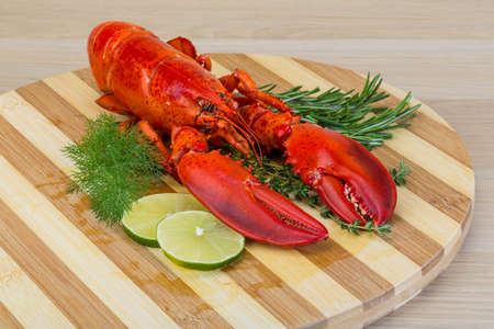 Boiled lobster served with thyme and rosemaryの写真素材
