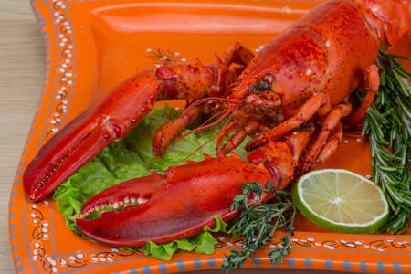 Red boiled lobster with thyme and rosemaryの写真素材