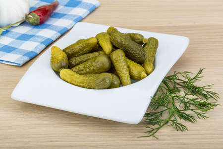 Pickled small cucumber with dill and spicesの写真素材