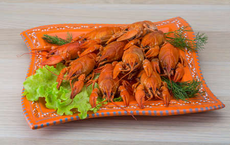 Boiled crayfish in the bowl with dillの写真素材