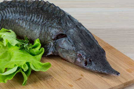 Raw strugeon on the wooden background with salad leaves and rosemaryの写真素材