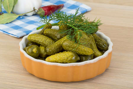 Pickled small cucumber with dill and spicesの写真素材