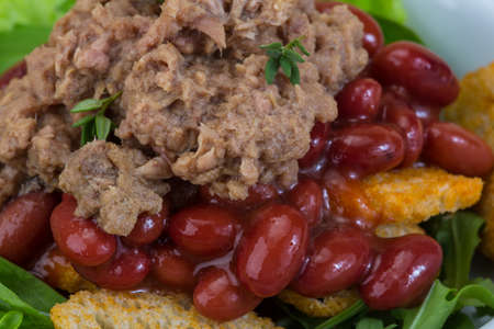Tuna salad with beans, ruccola and croutonsの写真素材