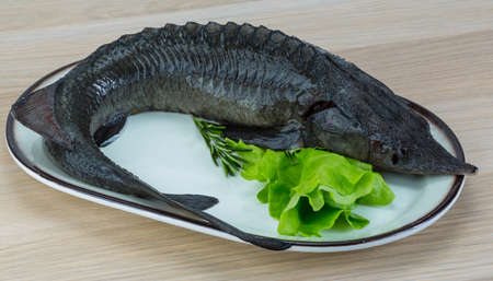 Raw strugeon on the wooden background with salad leaves and rosemary