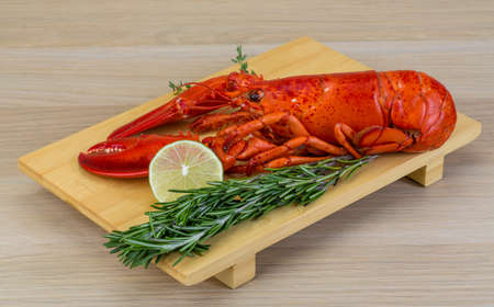 Boiled lobster served with thyme and rosemaryの写真素材