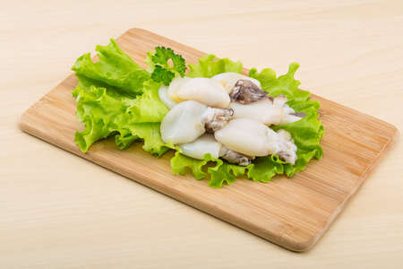 Raw cuttlefish with herbs on the wood backgroundの写真素材