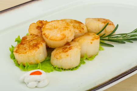 Grilled scallops in the bowl with herbsの写真素材