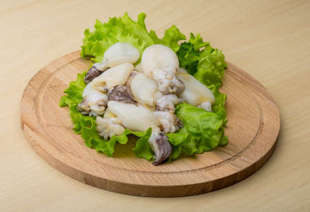 Raw cuttlefish with herbs on the wood background