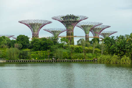SINGAPORE - MAY 12: Gardens by the Bay on Mar 12, 2014 in Singapore. Gardens by the Bay was crowned World Building of the Year at the World Architecture Festival 2012のeditorial素材