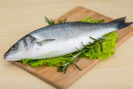 Raw seabass fish with rosemary and dillの写真素材